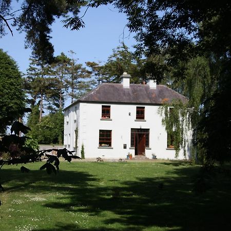 Oldfarm Villa Nenagh Buitenkant foto