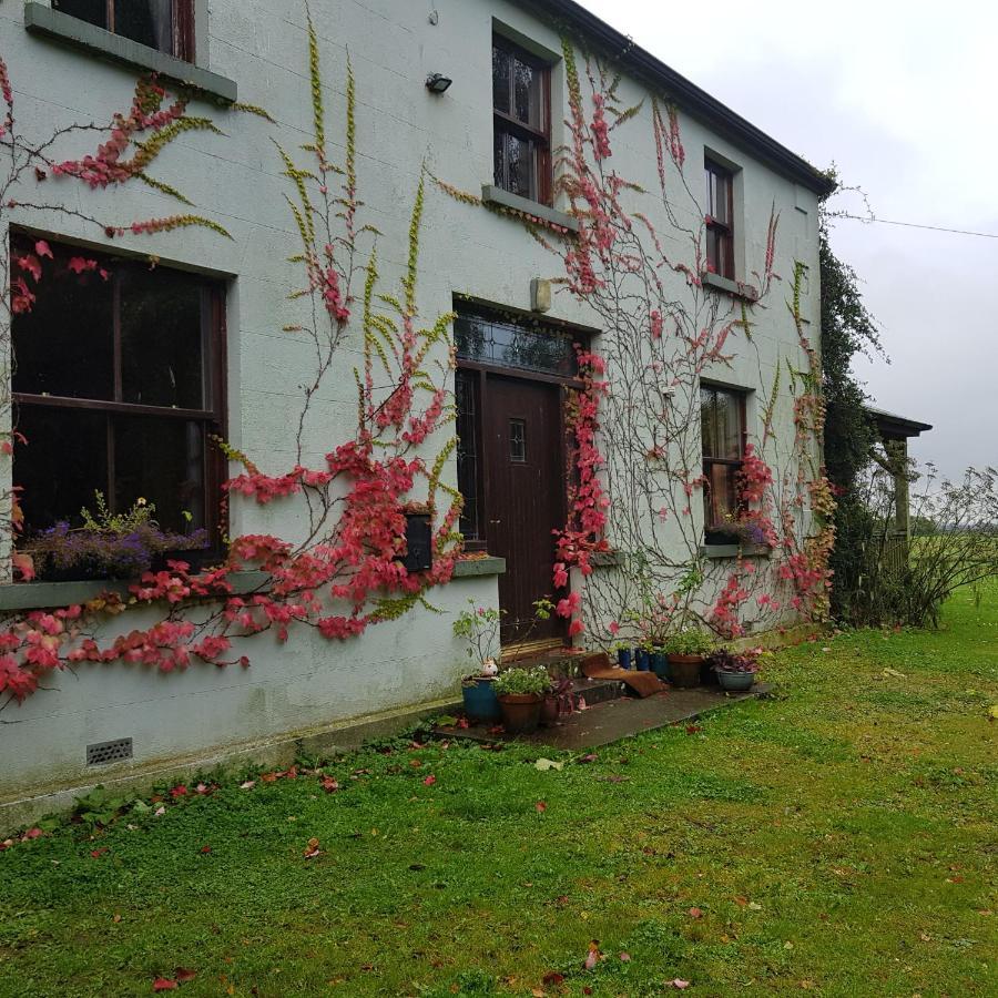 Oldfarm Villa Nenagh Buitenkant foto