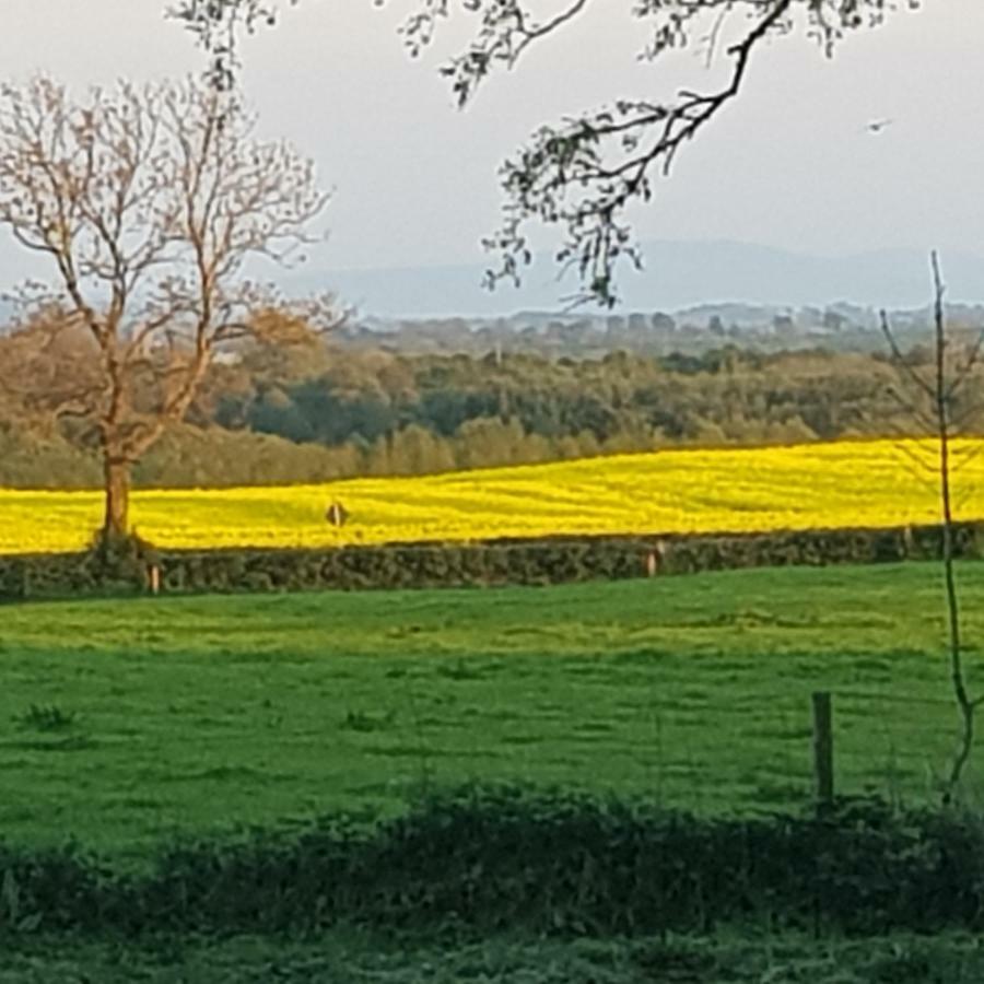 Oldfarm Villa Nenagh Buitenkant foto